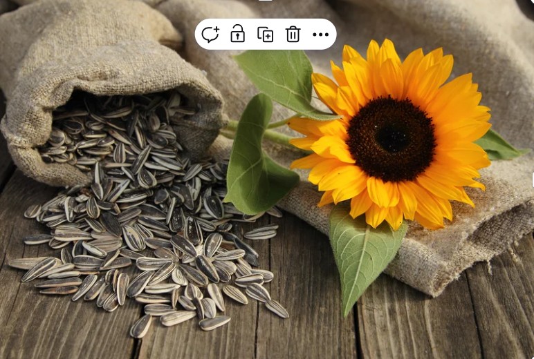 Sunflower seeds